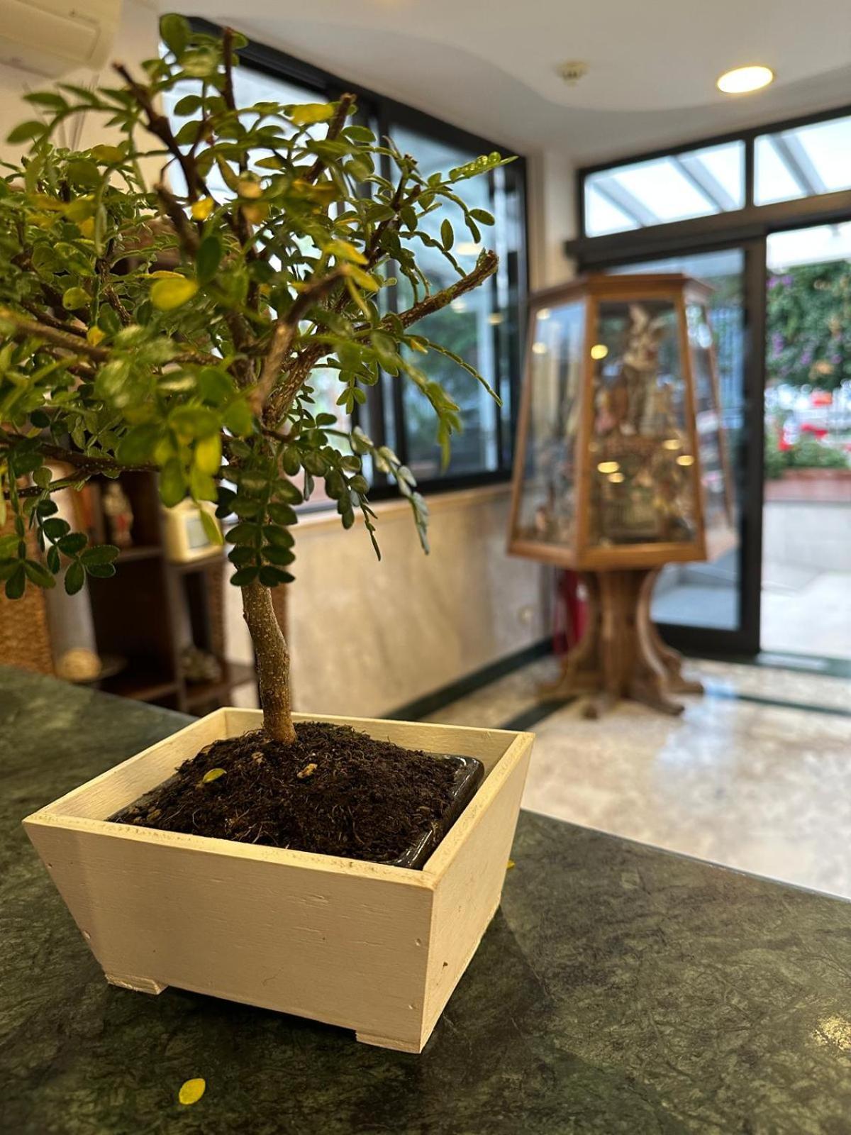 Hotel Clinton カゾーリア エクステリア 写真